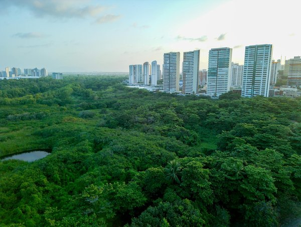 Les Scandales Politiques Français : Les Sommets de la Gloire et les Abysses de la Déchéance