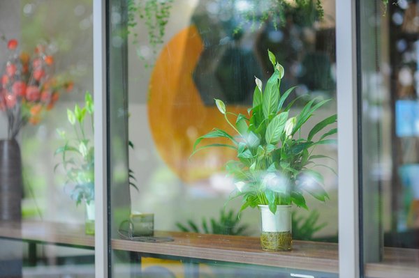 Découvrez le monde fascinant du téléphone rose : fantasmes et plaisir